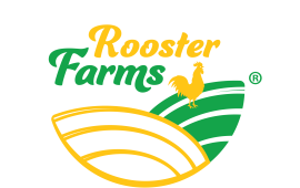 DM_20260304230237_001